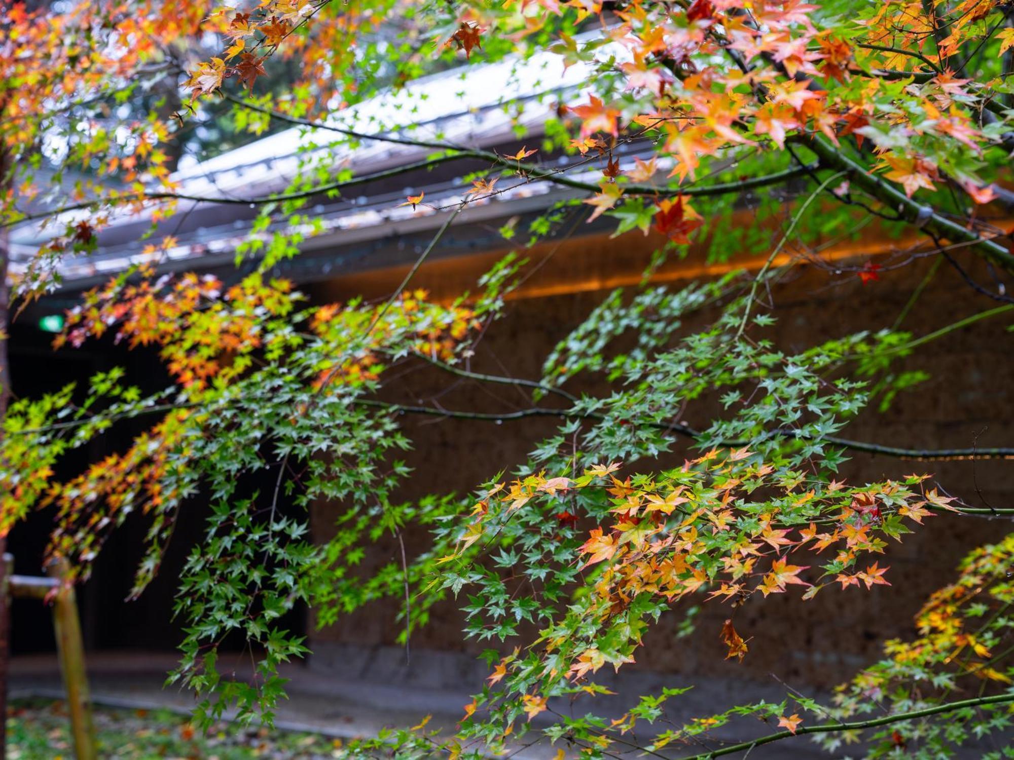 Отель Nikko Nishimachi Club Экстерьер фото
